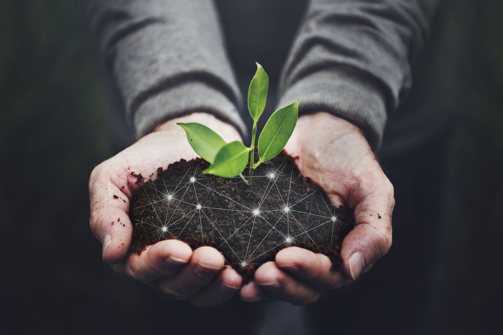 What Sustainability in Tech Means for Businesses